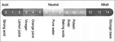 Figure typical scale Caveman Chemistry 2006 Balance And Wood Ash
